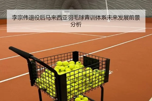 李宗伟退役后马来西亚羽毛球青训体系未来发展前景分析