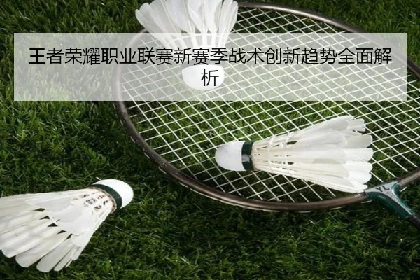 wang-zhe-rong-yao-zhi-ye-lian-sai-xin-sai-ji-zhan-shu-chuang-xin-qu-shi-quan-mian-jie-xi-2-244.jpg